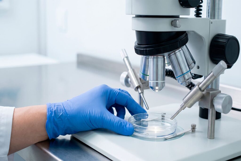 Vitrificación de óvulos y preservación de fertilidad